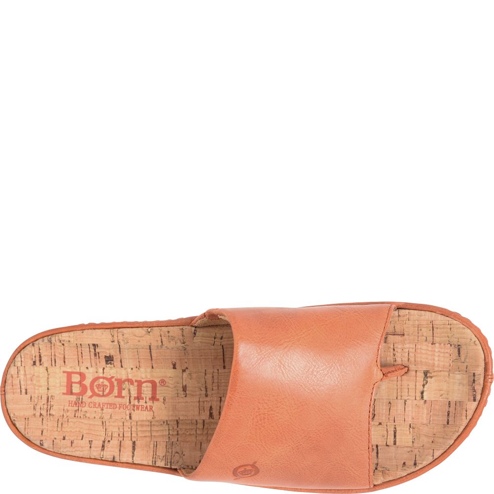 Born Sharr Sandals Orange Papaya Product ID-SteeR8PJ