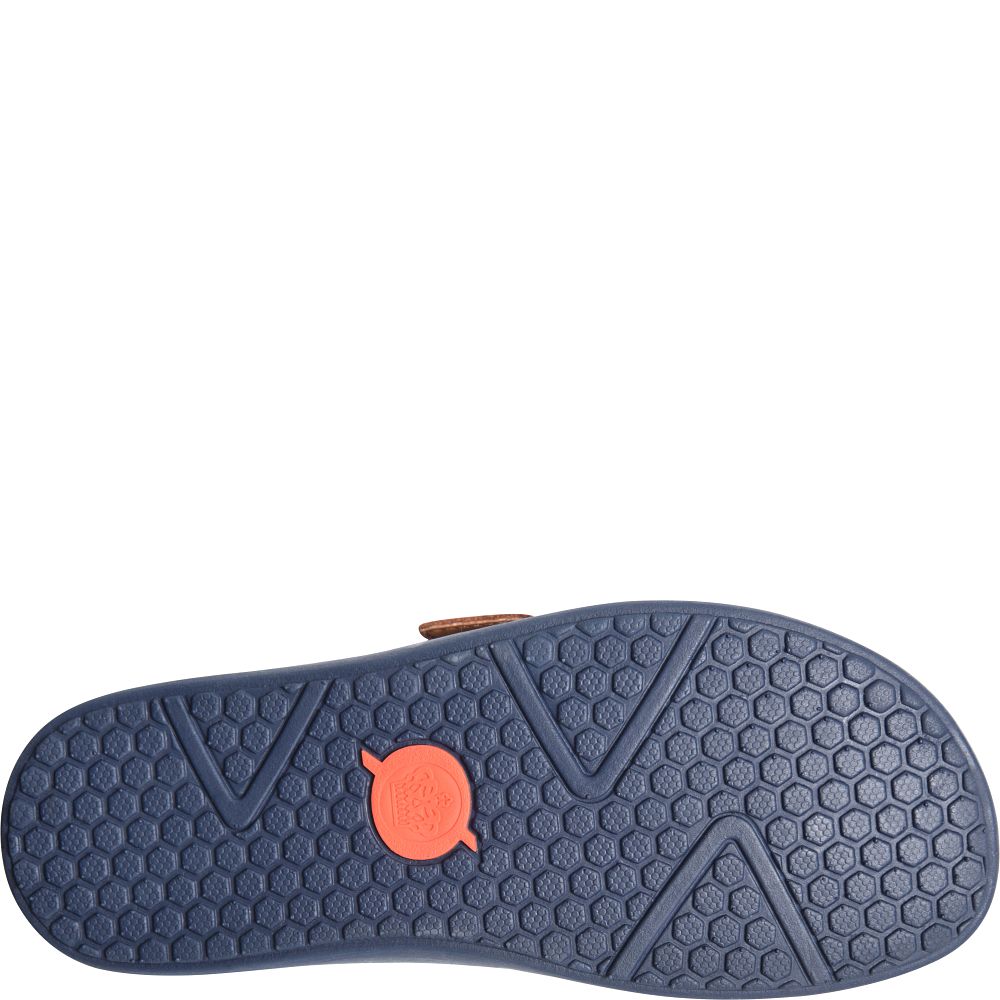 Born Lia Clogs Navy Felt Combo Product ID-u5OWkatJ